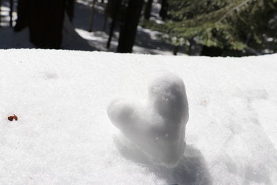 Close-up of snow covered land