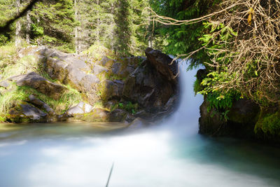 Scenic view of waterfall in forest