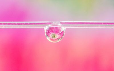 Close-up of drink against pink background