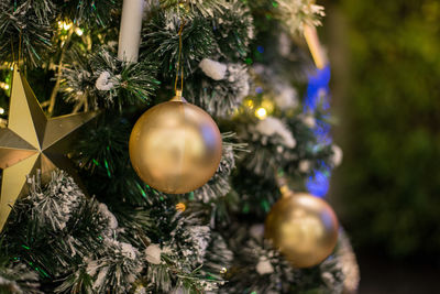 Close-up of christmas tree