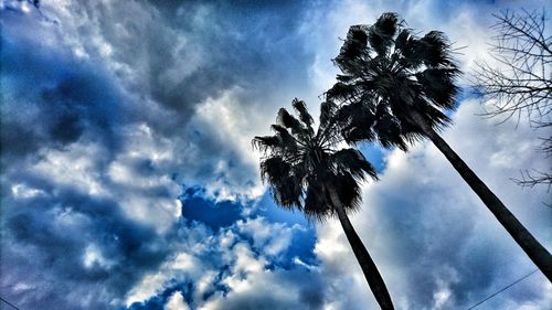 Low angle view of trees against cloudy sky