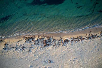 Drone field of view of of footprints in the sand and water from above beach in western australia.