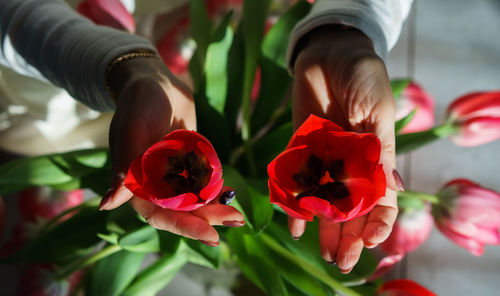 Woman holding two red tulips in her hands.