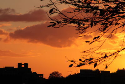 Silhouette of tree against sky during sunset