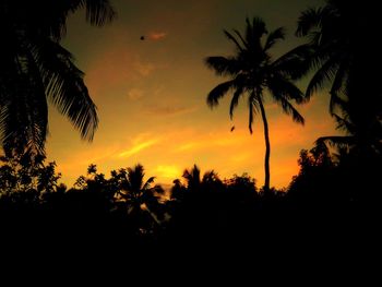 Silhouette palm trees against sky during sunset