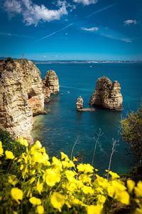 Scenic view of sea against sky