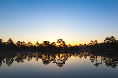 Forest lake in sunrise