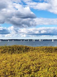 Scenic view of sea against sky