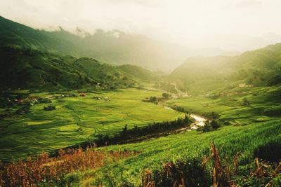 Scenic view of landscape