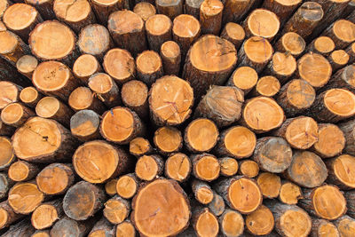 Full frame shot of logs