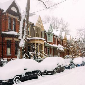 Snow covered trees in winter