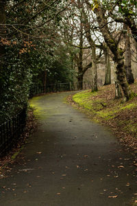 Road amidst trees