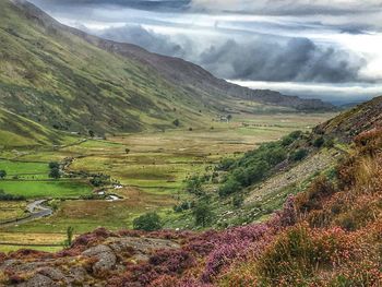 Scenic view of agricultural field against sky