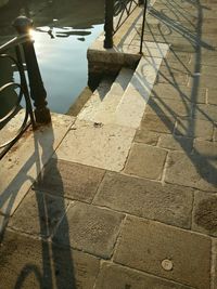 Reflection of trees in water
