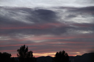 Silhouette of trees against dramatic sky