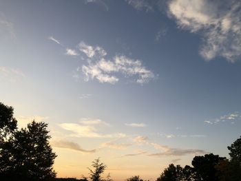 Low angle view of silhouette trees against sky