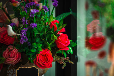 Close-up of red roses on plant