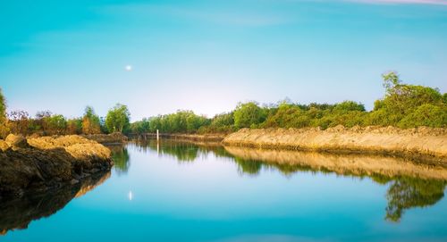 Scenic view of lake by trees against blue sky