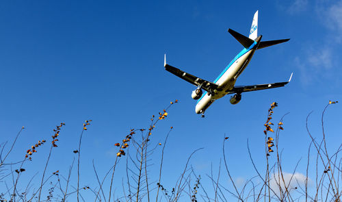 Low angle view of airplane flying against clear blue sky