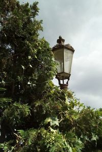 Low angle view of street light against sky