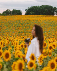 Scenic view of sunflower field