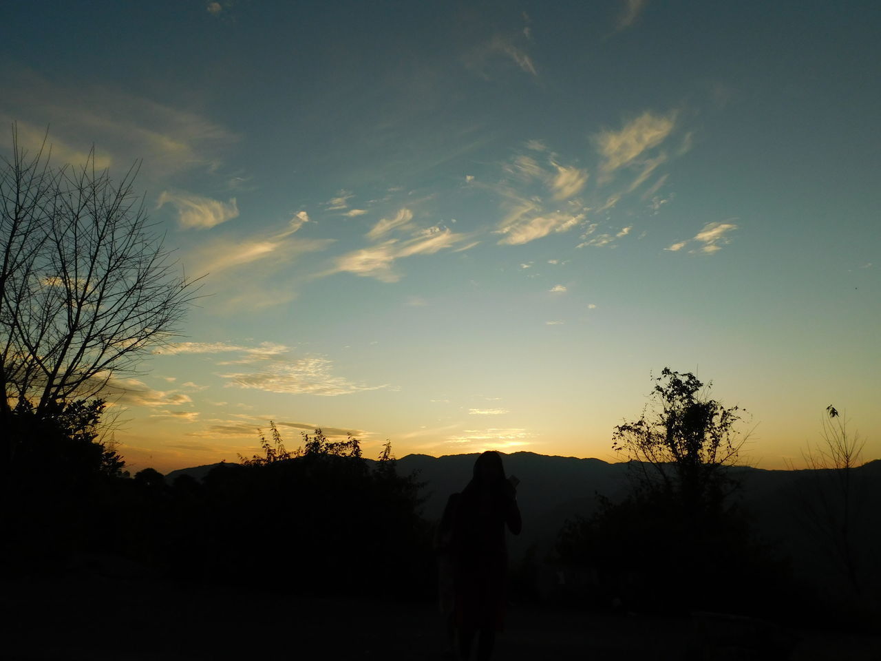 SILHOUETTE MAN STANDING BY TREES AGAINST SKY DURING SUNSET