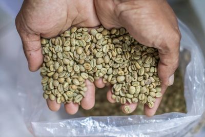 Midsection of person holding green bean coffee