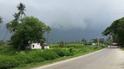 View of village with trees in background