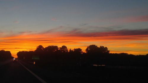 Silhouette of trees at sunset