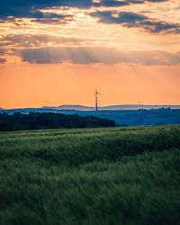 Scenic view of field against sky during sunset