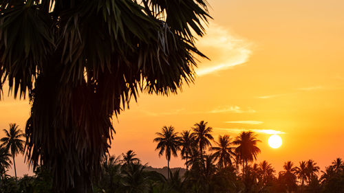 Silhouette palm trees against sky during sunset