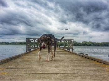 Pier on sea against cloudy sky