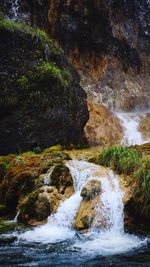 Stream amidst trees on landscape