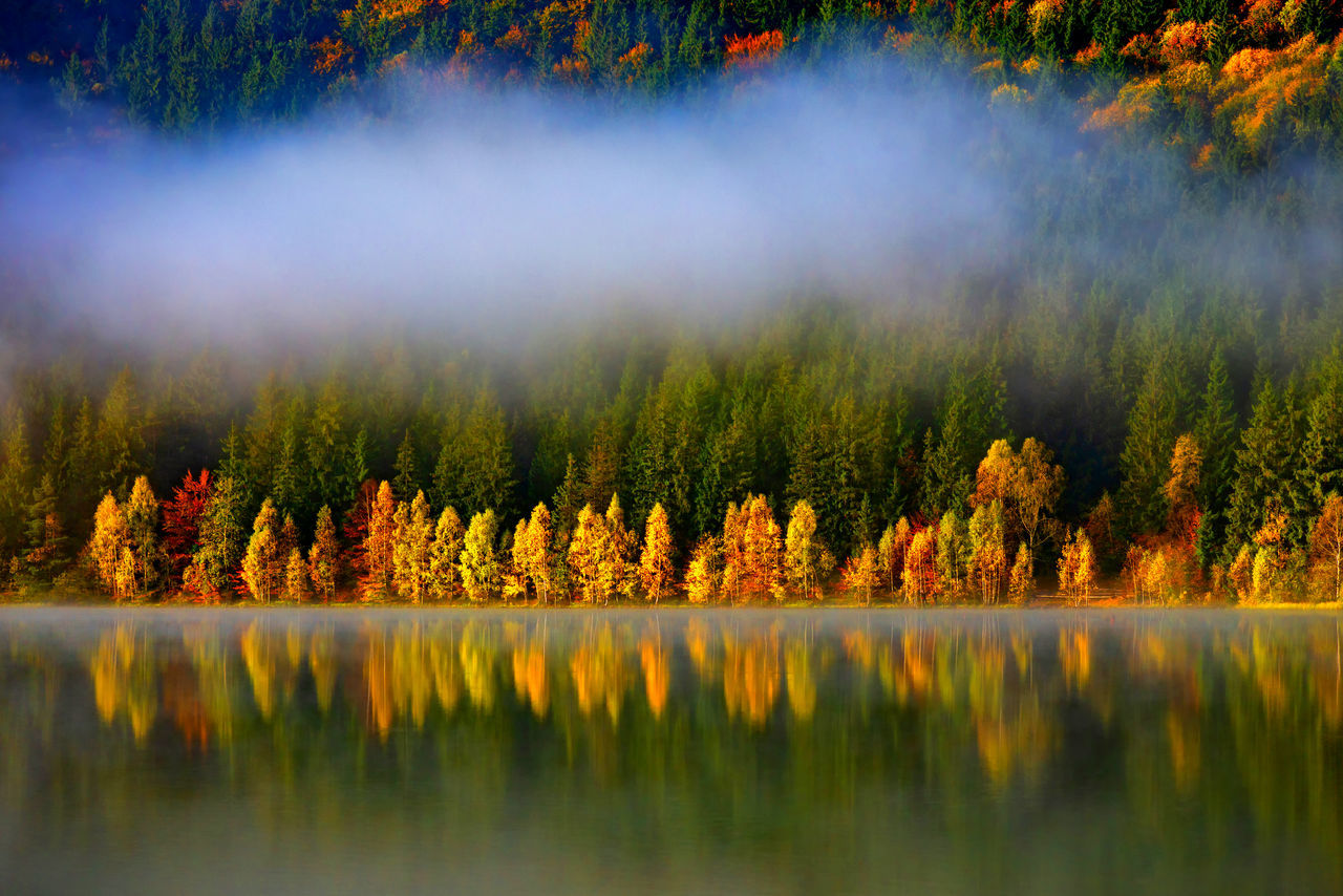 Scenic view of lake in forest during autumn