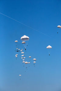 Low angle view of birds flying against clear blue sky