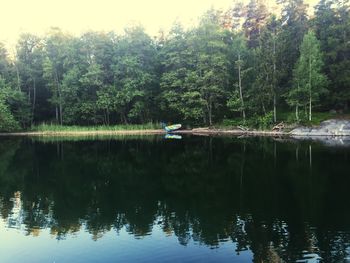 Scenic view of lake with trees in background