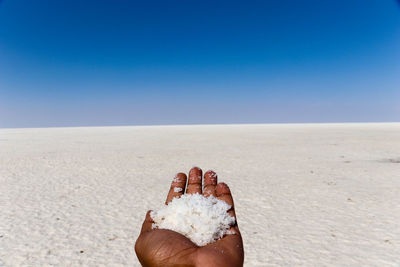 Cropped image of hand holding salt over white landscape