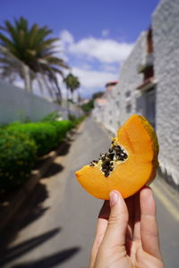 Cropped image of person holding orange leaf