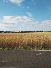 sky