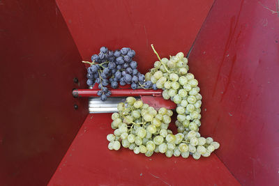 High angle view of grapes on table