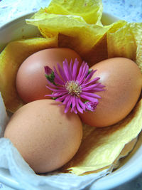 Close-up egg with purple flower