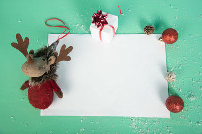 High angle view of an animal on table