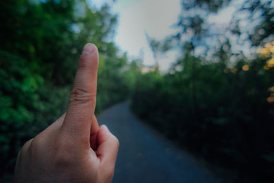 Cropped image of person hand against trees