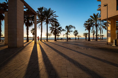 People walking on palm trees in city