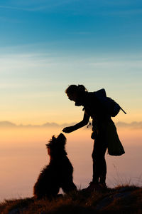 Side view of dog on land during sunset