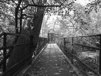 Footbridge amidst trees