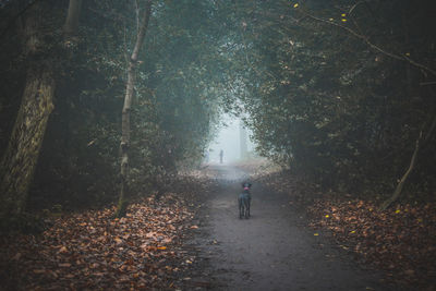 People walking on footpath in forest during autumn