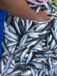 Midsection of man holding fish for sale at market