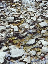 High angle view of stones on shore