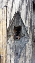 Full frame shot of wooden wall